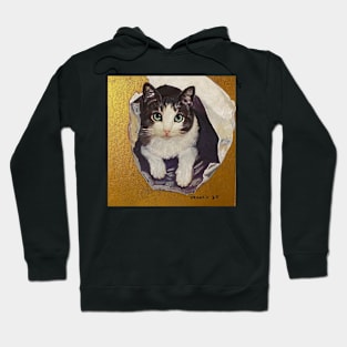 Cat out of the Bag Hoodie